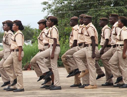 How to Apply for Immigration, Civil Defence, and Other Recruitment Exercises in 5 Easy Steps